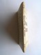 Roger Delpey - Parias de la gloire. Soladts de la boue. Tome 4