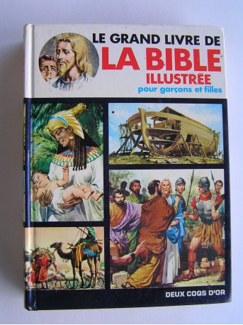 Anonyme - La bible illustrée pour garçons et filles