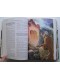 Anonyme - La bible illustrée pour garçons et filles