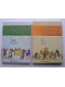 Anonyme - L'Histoire Sainte pour garçons et filles