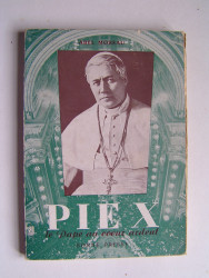 Abel Moreau - Pie X. Le Pape au coeur ardent.