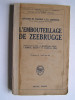 Capitaine de Vaisseau A.F.B. Carpenter - L'embouteillage de Zeebrugge. - L'embouteillage de Zeebrugge.