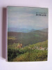 Auvergne Romane