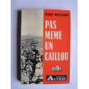 Pierre Montagnon - Pas même un caillou.